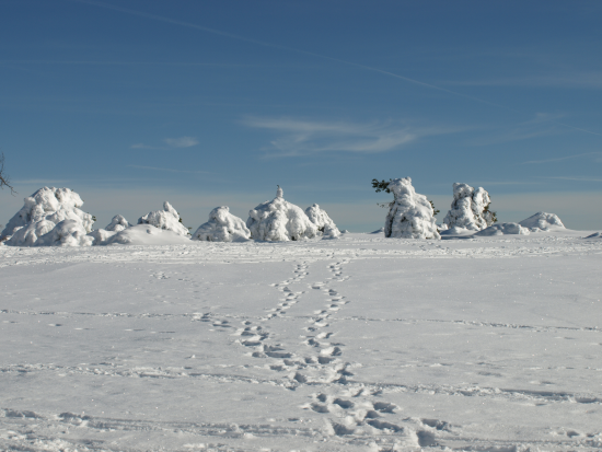 Teufelstischtour Januar 2019